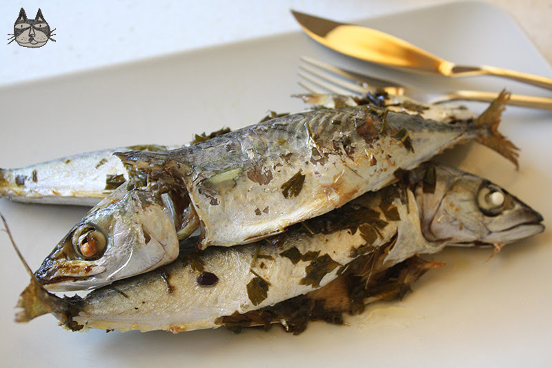 Lemon Kolios (Atlantic Chub&nbsp;Mackerel)
