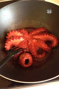 octopus_stifado04