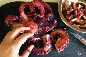 octopus_stifado05
