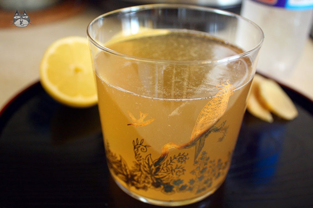 Fizzy Ginger