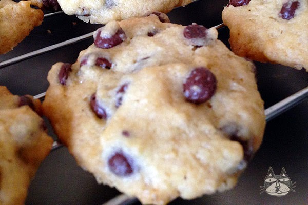 Soft Gooey Chocolate Chip&nbsp;Cookies