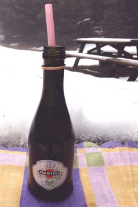 birthday2015_picnic_asti