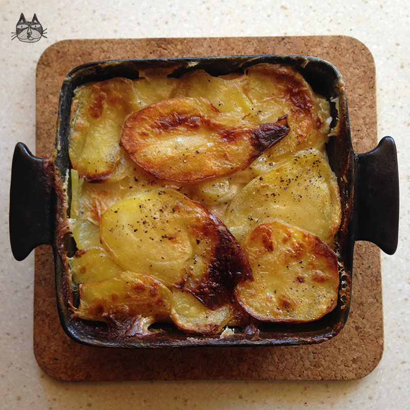 cpaugratin04