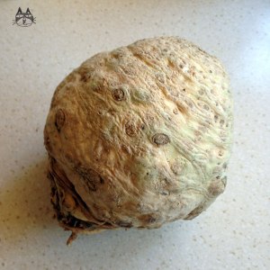 ing_celeriac