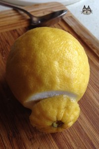 preservedlemons06