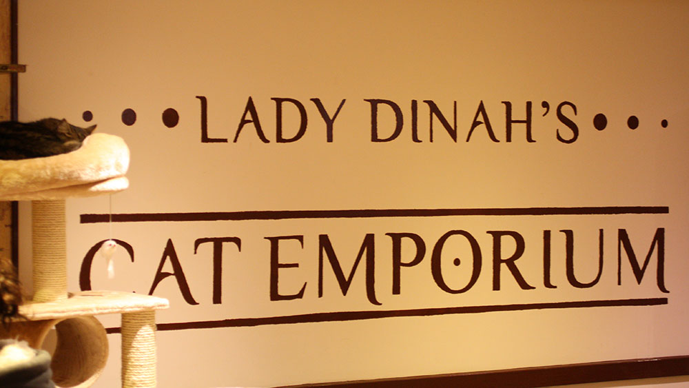 Lady Dinah’s Cat&nbsp;Cafe