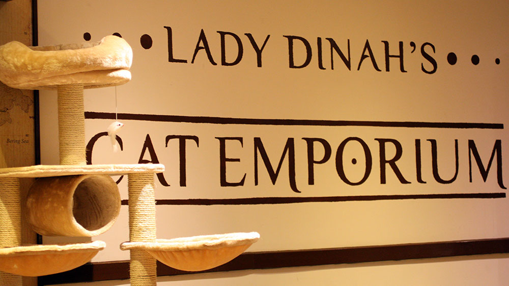 ladydinah02