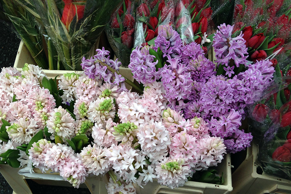 Columbia Flower Market