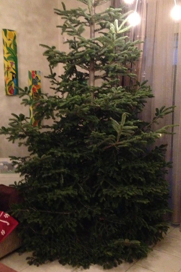 xmastree02