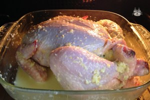 honeylemongingerchicken07