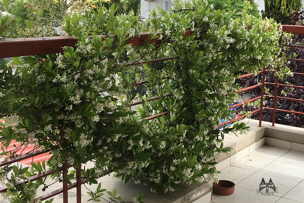 Geneva, here I&nbsp;come!