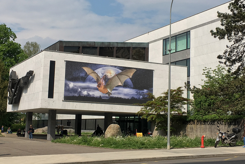Natural History Museum 2016geneva07