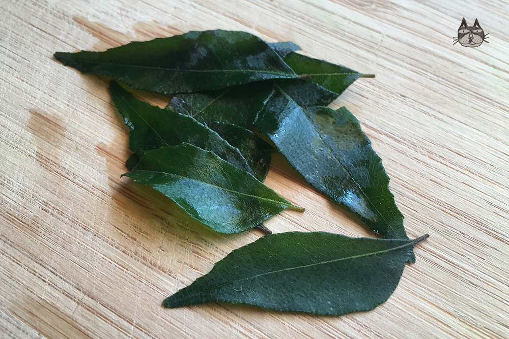 ing_curryleaves